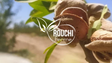 ngadvice-shooting-photo-rouchi-ferme-img-08 Shooting photos professionnel Algérie