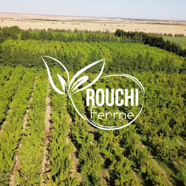 Vidéo coporate Algérie